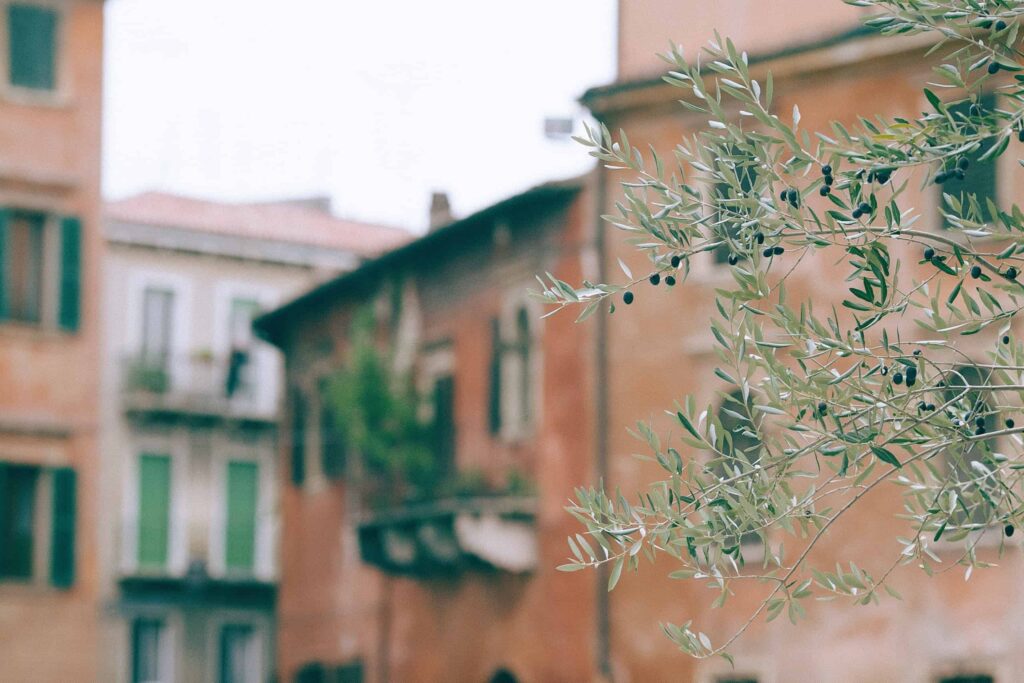 How to buy a house in Italy | Auction