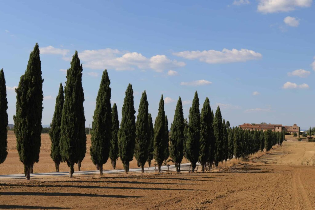 Buying a House in Tuscany: A Guide